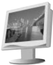 SAMSUNG DIGIMAX130 - Accesorios (Optional) - 7
