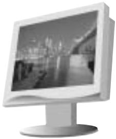 SAMSUNG DIGIMAX130 - Accessoires (en option) - 7