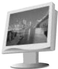 SAMSUNG DIGIMAX130 - Accessories (Optional) - 7
