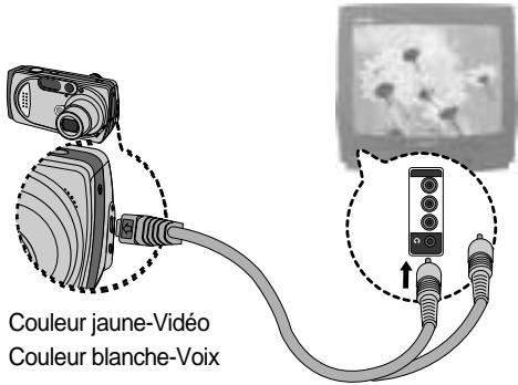 SAMSUNG DIGIMAX4100 - Sélection d'un type de sortie video - 2