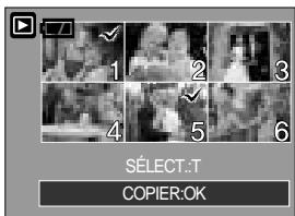 SAMSUNG DIGIMAX4100 - Copier une photo - 2
