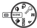 SAMSUNG KENOX D860 - PORTRE - 1