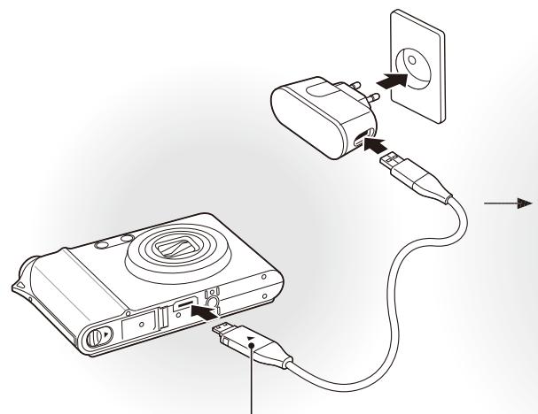 SAMSUNG NV100HD - lsi baterai - 1