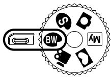 SAMSUNG DIGIMAX202 - Mode b&amp;w - 1