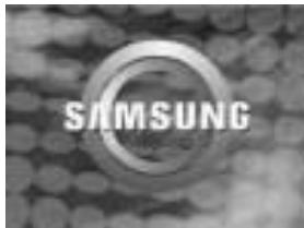 SAMSUNG DIGIMAX202 - Image de démarrage - 2