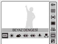 BEYAZ DENGESİ