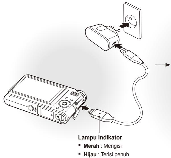 SAMSUNG EC-NV9 - Isi baterai - 1