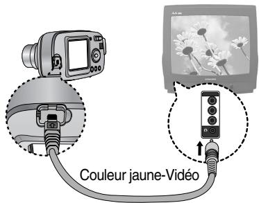 SAMSUNG KENOX CYBER 410 - Sélection d'un type de sortie vidéo - 2