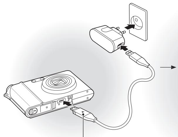 SAMSUNG NV100 HD - lsi baterai - 1
