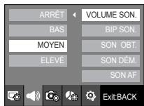 SAMSUNG NV24 HD SILVER - Volume son. - 1