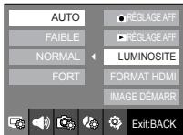 SAMSUNG NV24 HD SILVER - LUMINOSITE - 1