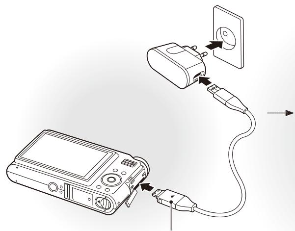 SAMSUNG NV9 - Pili sarj edin - 1
