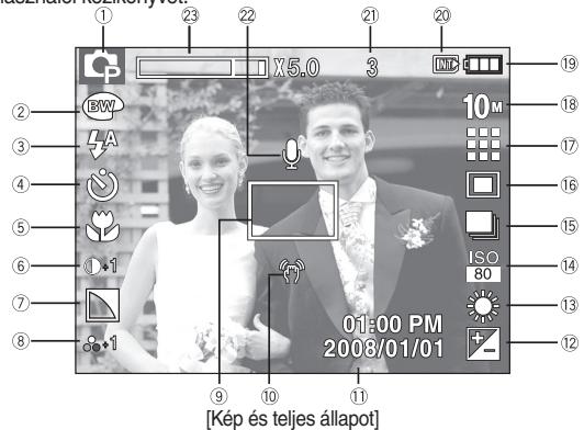 SAMSUNG VLUU L200 - Az LCD kijelző ikonja - 1