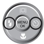 SAMSUNG VLUU L210 - - Memutar ulang gimbar - 2