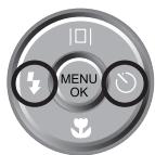 SAMSUNG VLUU M100 - Playingback the images - 2