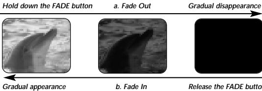SAMSUNG VP-D355I - Aufnahme beenden (mit FADE-Funktion) - 1