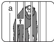 SAMSUNG VP-D362 - Mise au point automatique - 1