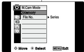 SAMSUNG VP-D382 - SETTING THE FILE NUMBER (FILE NO.) - 2