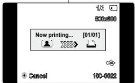 SAMSUNG VP-D382 - Annulation de l'impression - 4