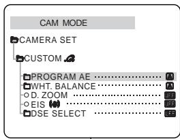 SAMSUNG VP-D81 - Important - 3