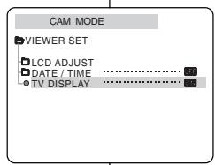 SAMSUNG VP-D905 - TV DISPLAY - 2