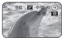 SAMSUNG VP-DC171W - 停止摄录 - 9