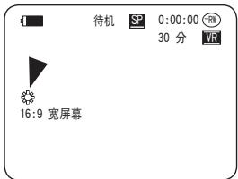 SAMSUNG VP-DC171W - 例如:设置白平衡 - 3