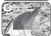 SAMSUNG VP-DC171W - 应用数字特效(数字效果) - 10