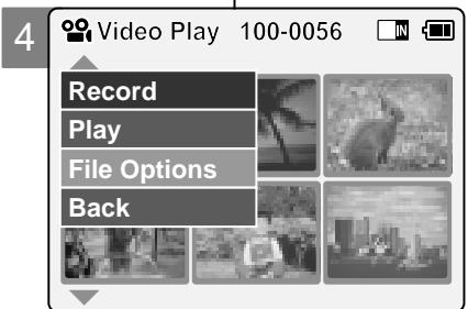 4 Video Play 100-0056 Record Play File Options Back