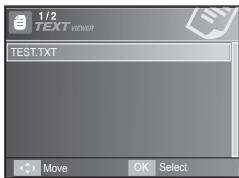 SAMSUNG I100 - FUN - 10