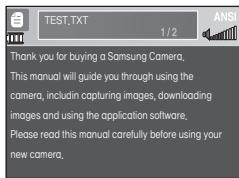 SAMSUNG I8B - Modalità MULTIMEDIA - 4
