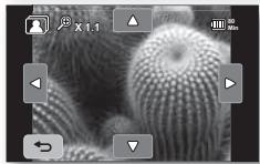 SAMSUNG HMX-20C - Zoom en cours de lecture - 4