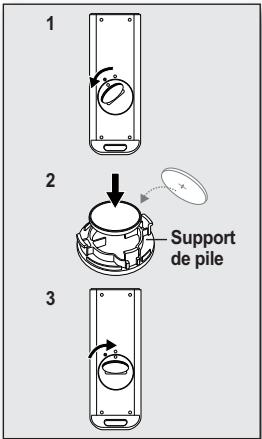 SAMSUNG HMX-20C - Précautions concernant la pile bouton - 2
