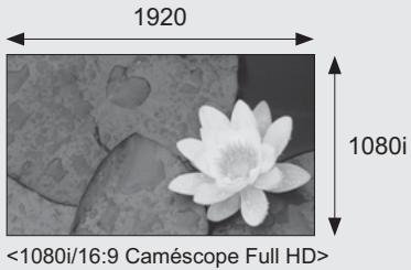 SAMSUNG HMX-H104BP - COMMENT PROFITER D'IMAGES DE QUALITÉ FULL HD (HAUTE DÉFINITION) - 1
