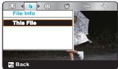 File Info This File Back