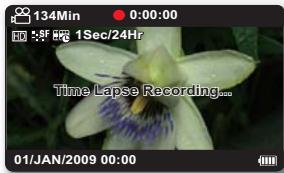 134Min 0:00:00 1Sec/24Hr Time Lapse Recording... 01/JAN/2009 00:00