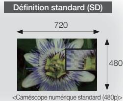 Définition standard (SD) 720 480