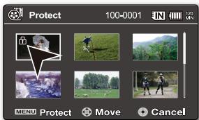 Protect 100-0001 MENU Protect + Move Cancel