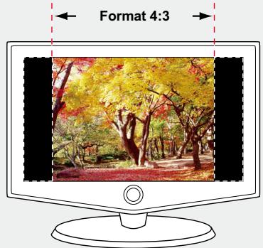 Format 4:3