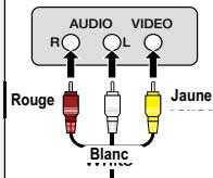 AUDIO R ○ L ○ Rouge JAune Blanc