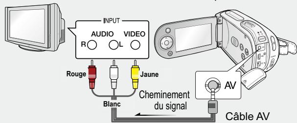 INPUT AUDIO VIDEO R ○ L Rouge Jaune Blanc Cheminement du signal AV Câble AV