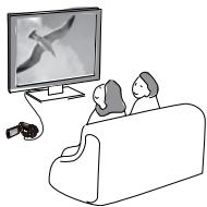 SAMSUNG SMX-F40SP - VISIONNAGE SUR UN ÉCRAN DE TÉLÉVISION - 1