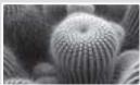 SAMSUNG SMX-F500 - EDIT (Divide) (Mod. (Divis.)) - 7