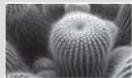 SAMSUNG SMX-F500 - EDIT (Divide) (Mod. (Divis.)) - 8