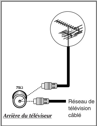 Arrière du téléviseur 75Ω Réseau de télévision câblé