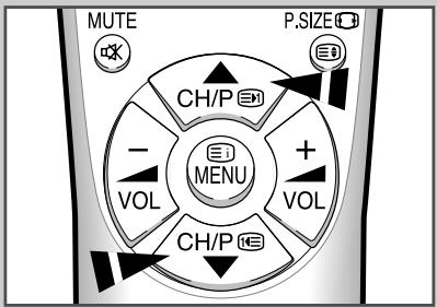 MUTE P.SIZE CH/P - VOL MENU + VOL CH/P CH/P