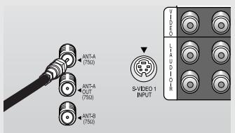 SAMSUNG HCL473W - Antennes avec fiches rondes de 75-ohms - 1