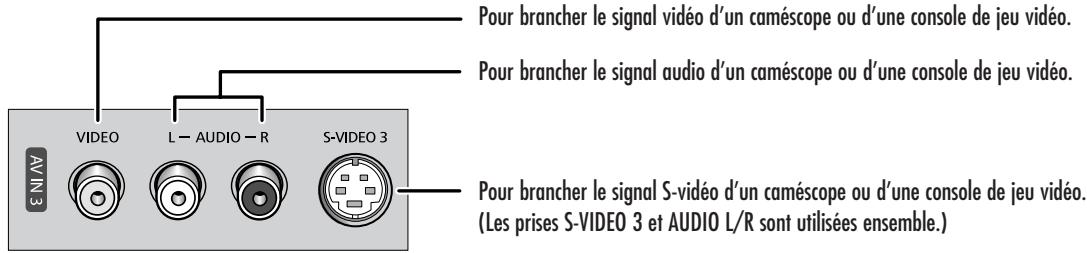SAMSUNG HL-R5064W - Prises du panneau latéral - 1