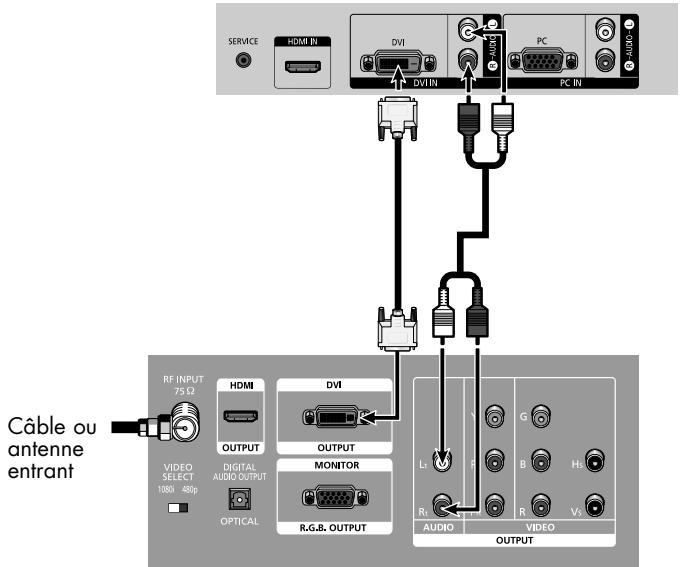SAMSUNG HL-R5064W - Branchement dans l'entrée d'interface vidéo numérique (DVI; Digital Visual Interface) - 1