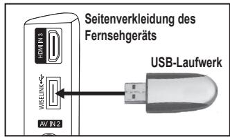 SAMSUNG LE-52F96BD - Verwenden der WISELINK-Funktion - 1